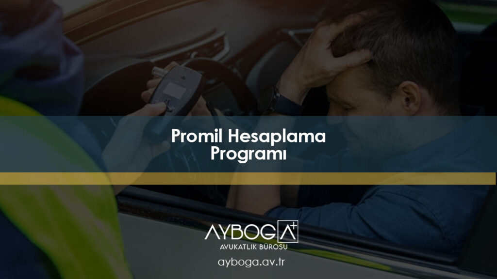Promil Hesaplama Programı 2026 : 1 Bira Kaç Promil, 1 Duble Rakı Kaç Promil?