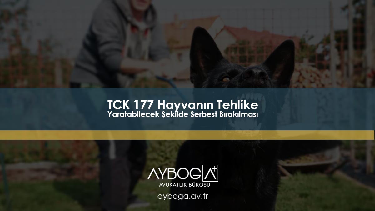 TCK 177 Hayvanın Tehlike Yaratabilecek Şekilde Serbest Bırakılması